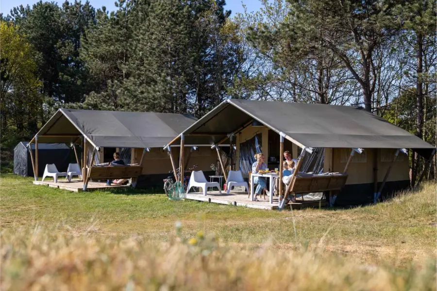 Safari escape lodges camping duinoord ameland overzicht