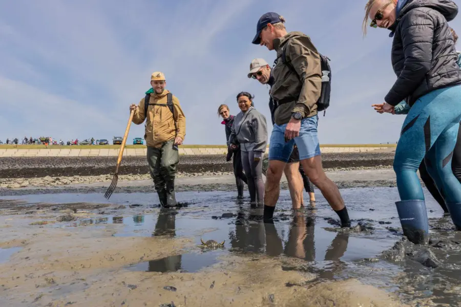 Wadlopen dijk