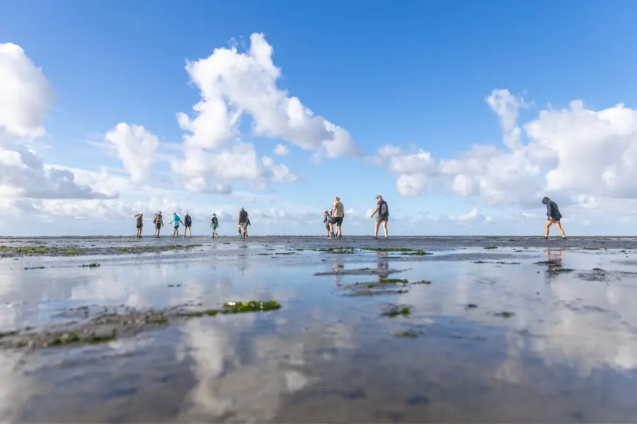 Wadlopen waddenzee ameland groep