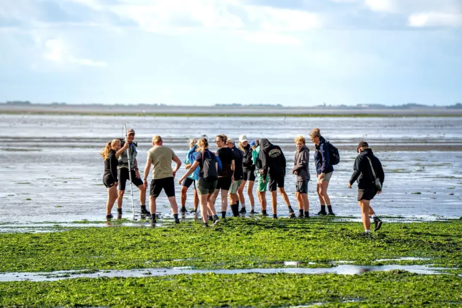 Groep tijdens wadlooptocht ameland