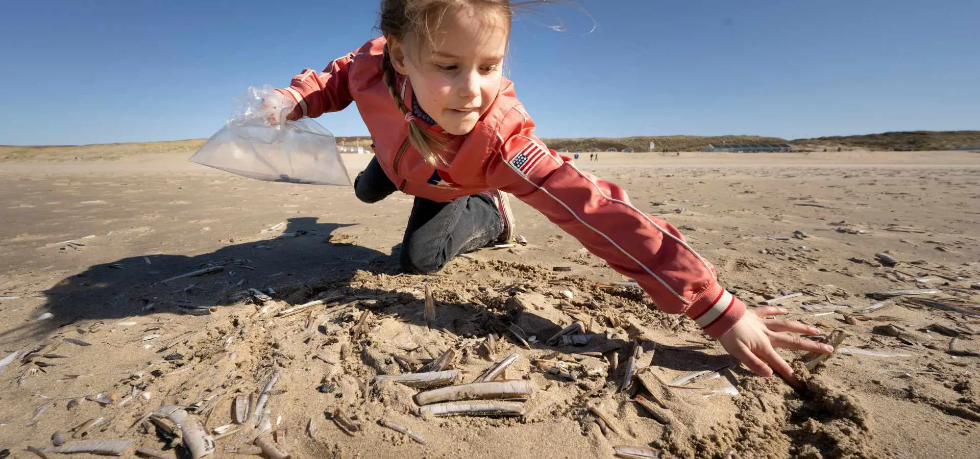 Schelpenteldag schelp strand kind