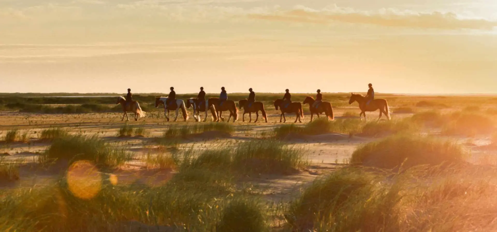 Paardrijden strand natuur