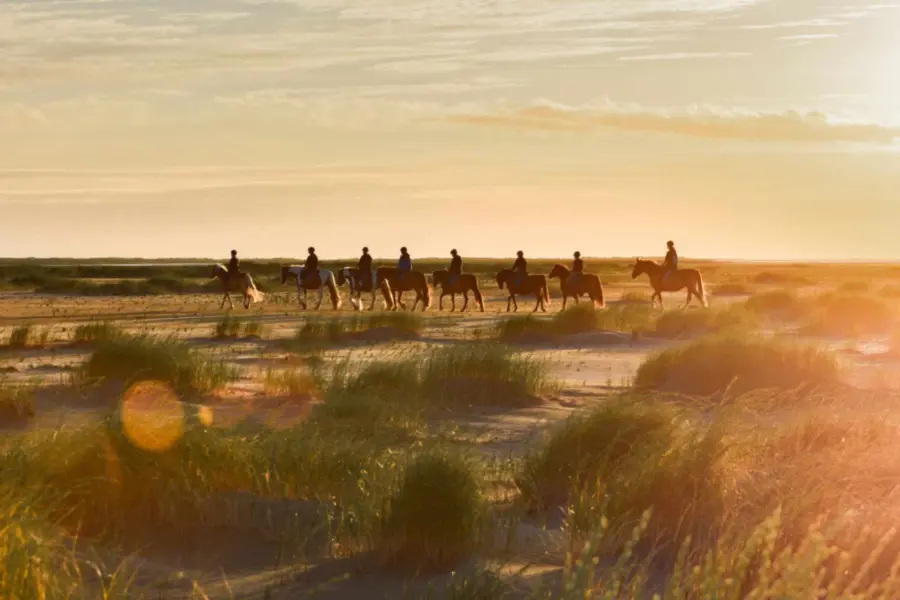 Paardrijden strand natuur