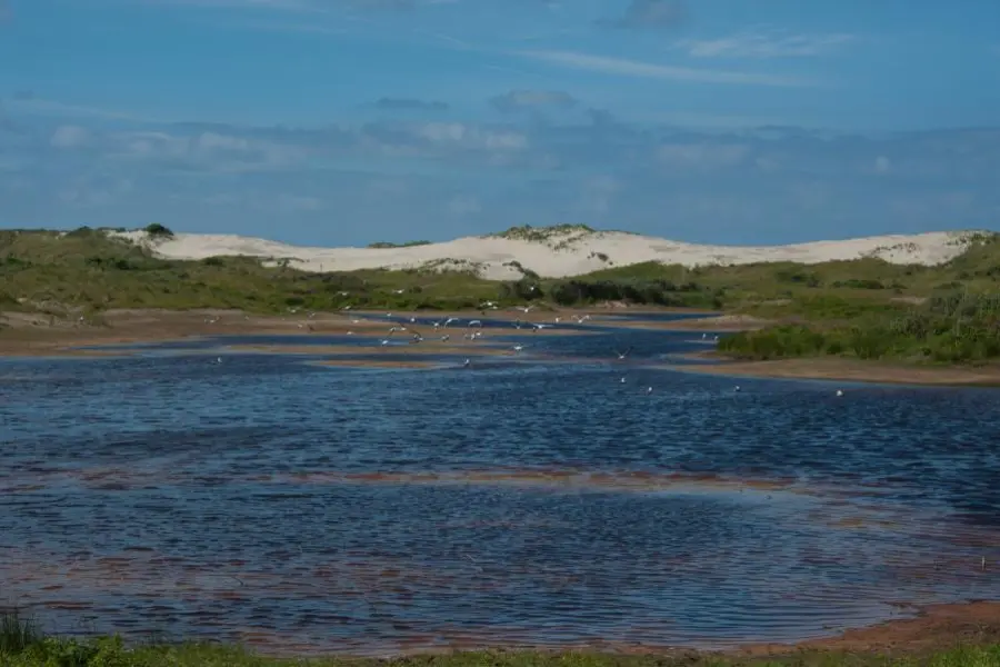 Groene strand ameland duinen