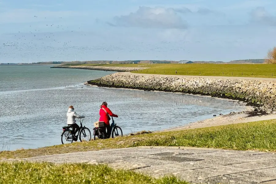 Fietsen wad ameland fietsroute