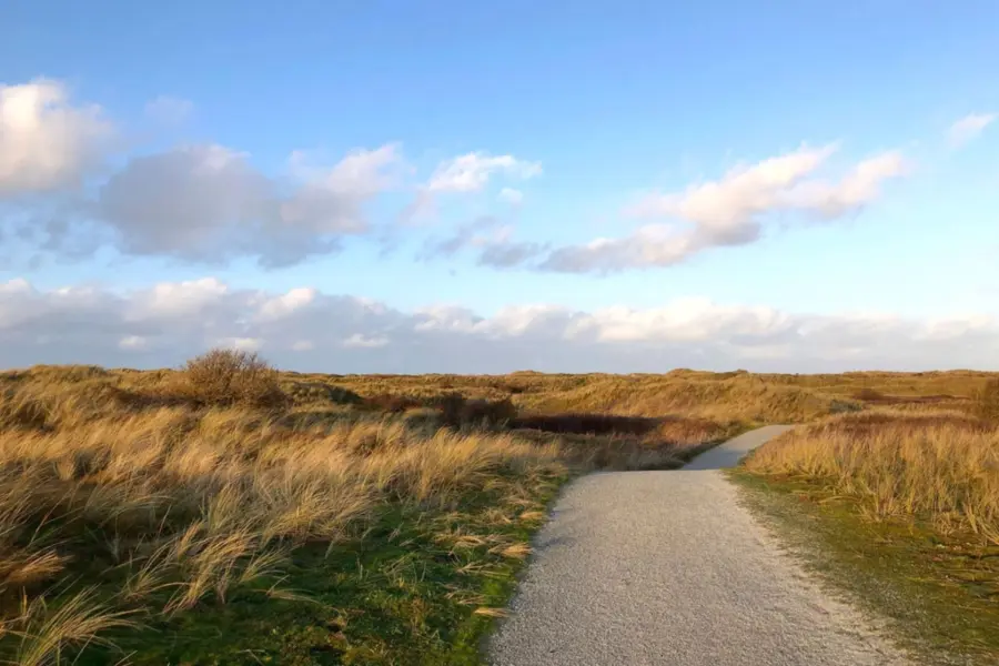 Fietspad natuur duinen ameland