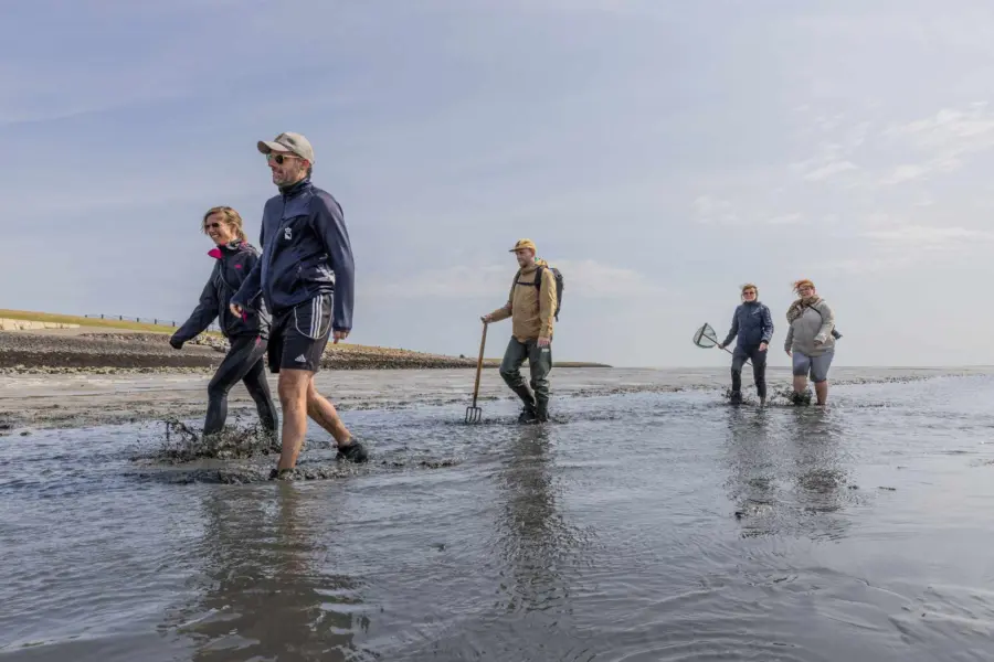 Wadlopen waddenzee